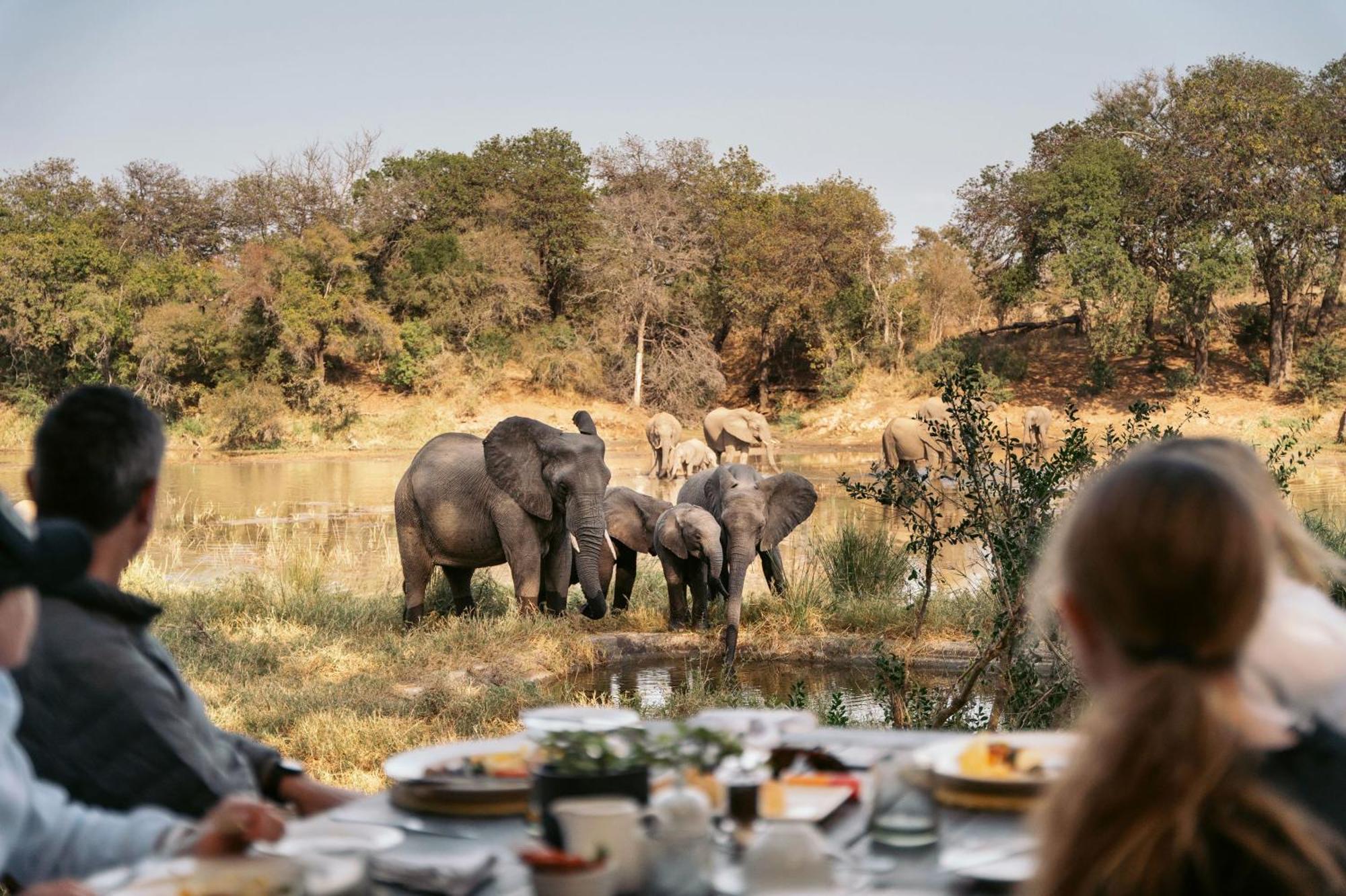 Simbavati River Lodge Timbavati viltreservat Exteriör bild