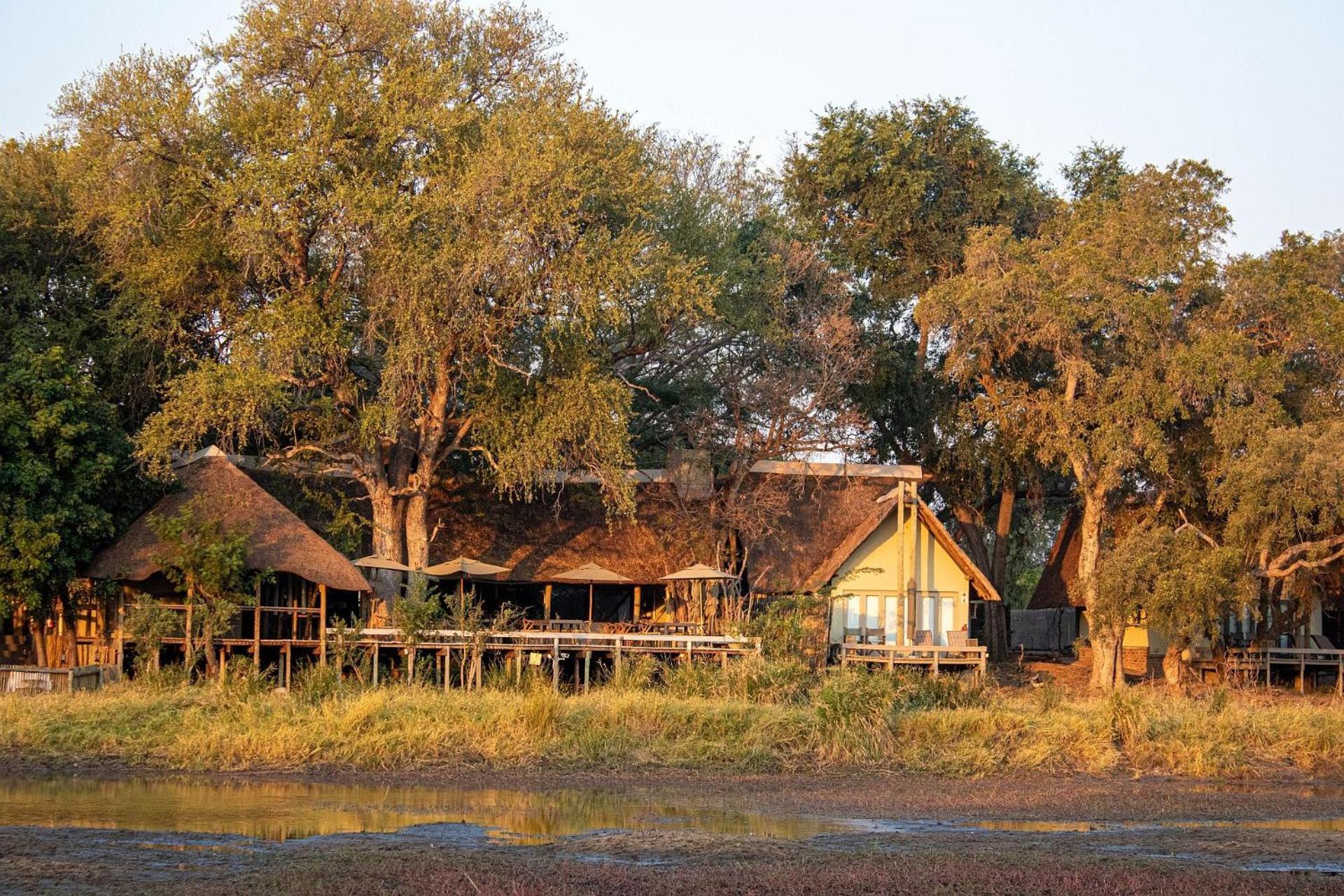 Simbavati River Lodge Timbavati viltreservat Exteriör bild