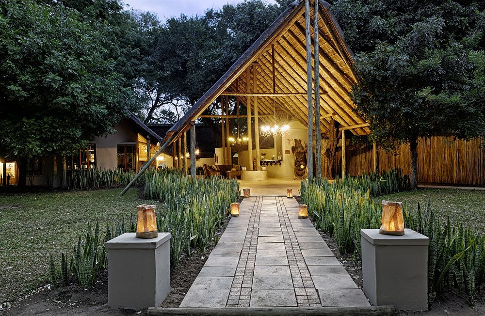 Simbavati River Lodge Timbavati viltreservat Exteriör bild