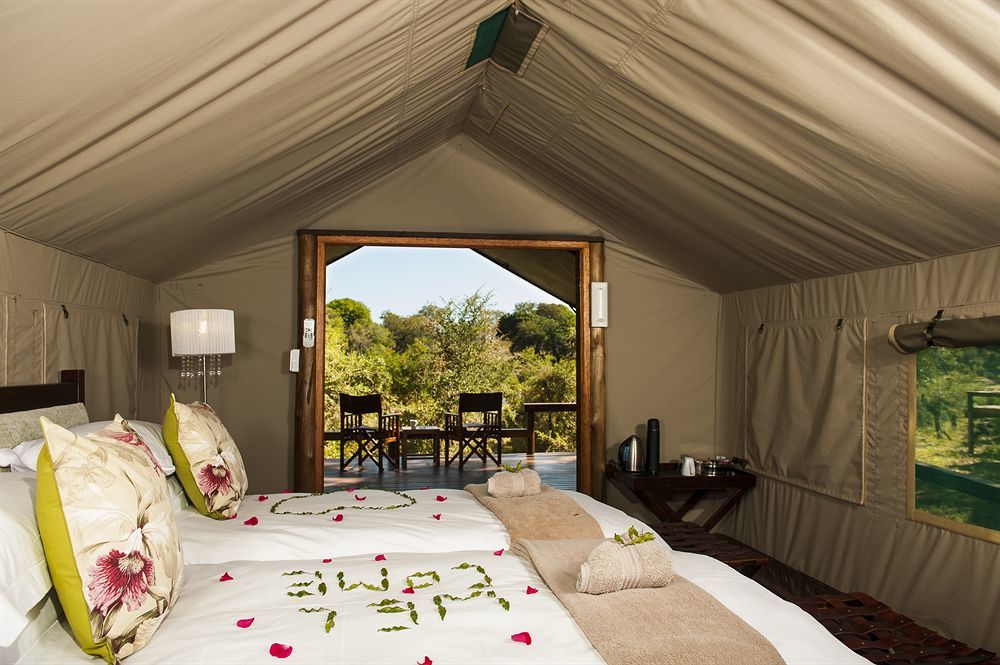 Simbavati River Lodge Timbavati viltreservat Exteriör bild