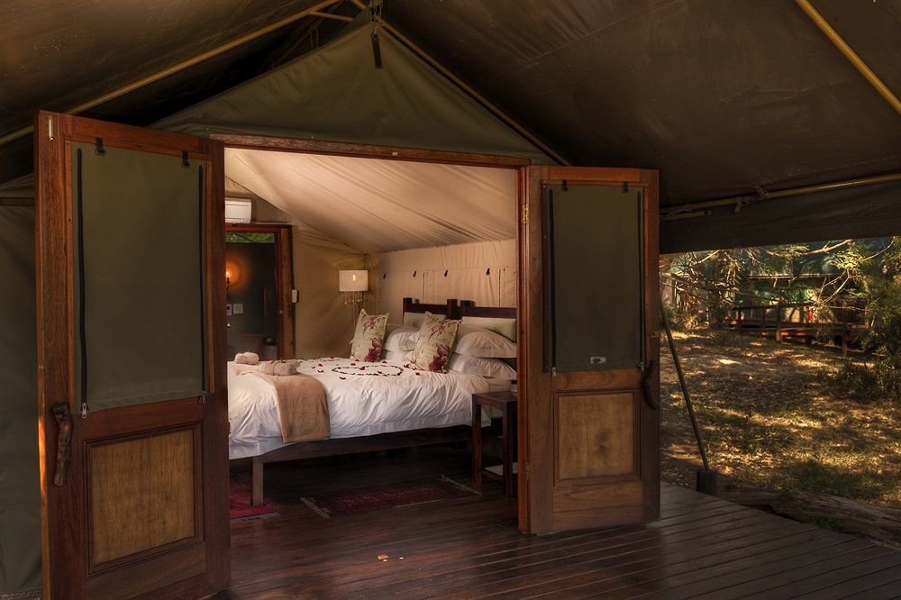 Simbavati River Lodge Timbavati viltreservat Exteriör bild