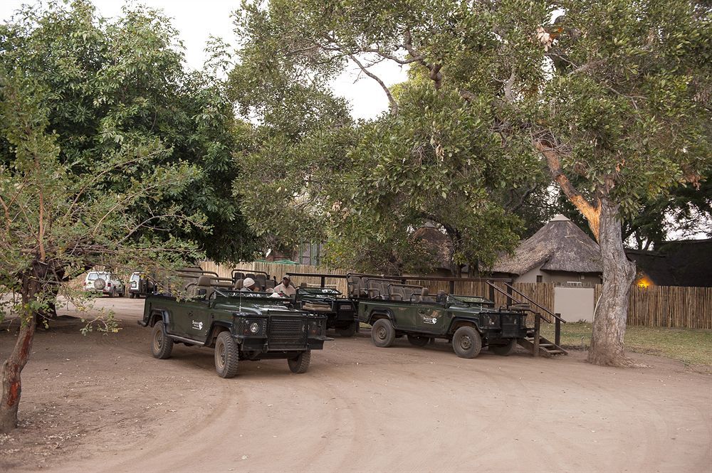 Simbavati River Lodge Timbavati viltreservat Exteriör bild
